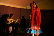 Flamenco Namitnie