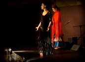 Flamenco Namitnie