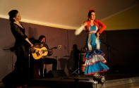 Flamenco Namitnie