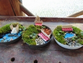 Warsztaty "Fairy garden"