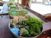 Warsztaty "Fairy garden"