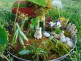 Warsztaty "Fairy garden"