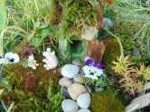 Warsztaty "Fairy garden"