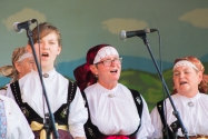 Doynki Gminne 2016