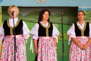 Doynki Gminne 2016