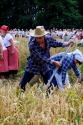 Święto Powiatu Bielskiego i Josiynicki Żniwowani Święto Powiatu Bielskiego i Josiynicki Żniwowani