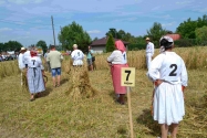 Święto Powiatu Bielskiego i Josiynicki Żniwowani Święto Powiatu Bielskiego i Josiynicki Żniwowani