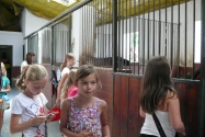 Wakacje w Chacie Międzyrzecze Wakacje w Chacie Międzyrzecze