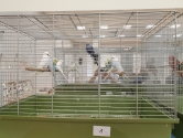 Wystawa ptakw egzotycznych i terrarystyki